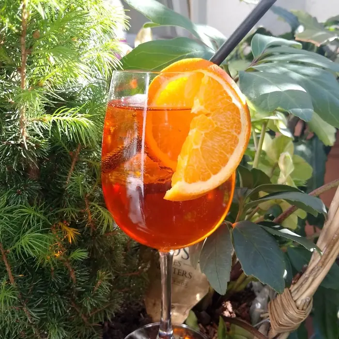 Aperol Sprizz mit Orange
