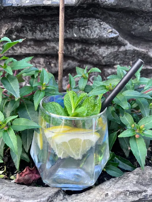 Gin Tonic mit Zitrone und Minze